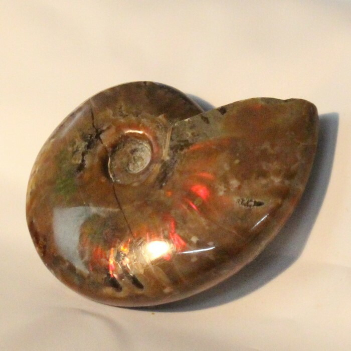 <br>【一級品の輝き】アンモナイト 化石 虹 アンモナイト Ammonite レインボー アンモライト 原石 古生物 置物 鉱石 宝石 fossil 石 Stone 標本 アンモナイト化石 メンズ レディース 人気 おすすめ 天然石 海外直輸入 アンモナイト