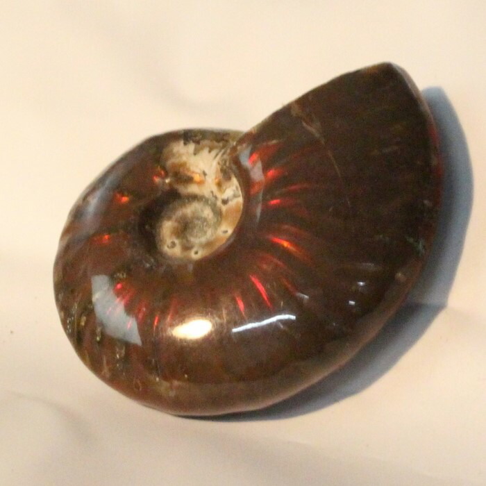 <br>【マダガスカル産最高品質】アンモナイト 化石 虹 Ammonite アンモライト レインボー アンモナイト 原石 宝石 fossil 石 Stone 標本 アンモナイト化石 メンズ レディース パワーストーン 人気 おすすめ 天然石 海外直輸入価格 アンモナイト