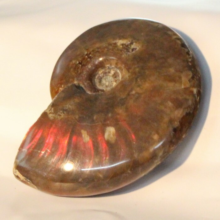<br>【マダガスカル産一級品】アンモナイト 化石 虹 レインボー Ammonite アンモライト アンモナイト 原石 置物 鉱石 宝石 fossil 石 Stone 古生物 標本 アンモナイト化石 パワーストーン 原石 人気 おすすめ 天然石 海外直輸入価格 アンモナイト