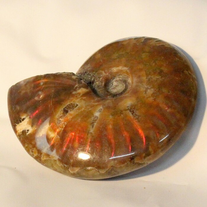 <br>【一級品の輝き】アンモナイト 化石 虹 アンモナイト Ammonite レインボー アンモライト 宝石 原石 置物 鉱石 生きた化石 fossil 石 古生物 標本 アンモナイト化石 天然石 置物 人気 おすすめ パワーストーン 一点物 アンモナイト