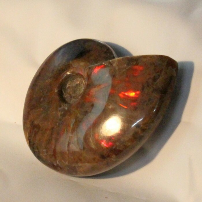 <br>【厳選品質マダガスカル産】アンモナイト 化石 虹 アンモナイト Ammonite レインボー アンモライト 原石 置物 鉱石 宝石 fossil 石 Stone 古生物 標本 アンモナイト化石 メンズ レディース 限定 一点物 パワーストーン アンモナイト