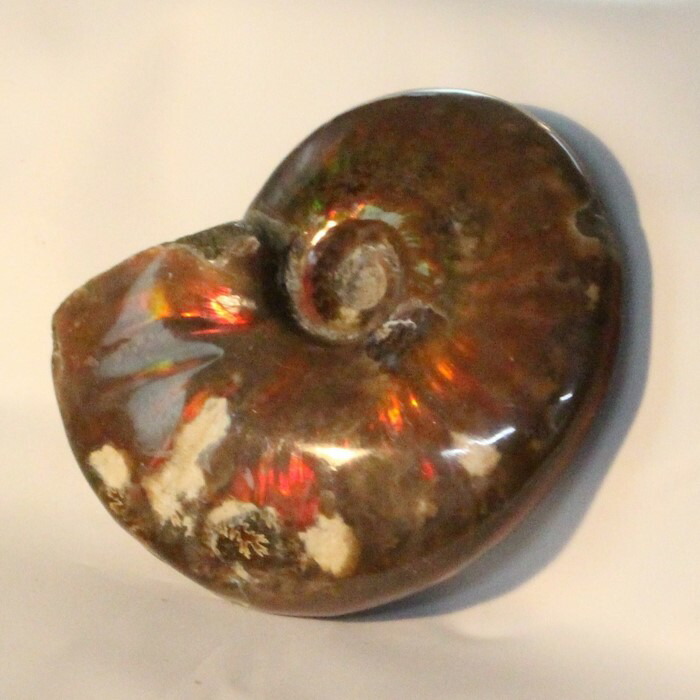 天然石☆水晶☆アンモナイト a40940-1_700.jpg