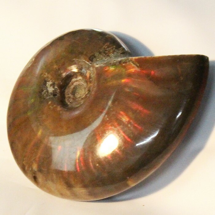 <br>【マダガスカル産最高発色 虹】アンモナイト 化石 虹 アンモナイト Ammonite レインボー アンモライト 原石 古生物 置物 鉱石 宝石 fossil 石 Stone 標本 アンモナイト化石 海外直輸入価格 LuLu House（ルルハウス るるはうす） アンモナイト