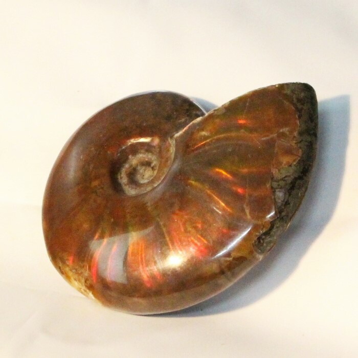 <br>【マダガスカル産最高発色 虹】アンモナイト 化石 虹 アンモナイト Ammonite レインボー アンモライト 原石 置物 鉱石 宝石 fossil 石 Stone 古生物 標本 アンモナイト化石 パワーストーン 原石 人気 おすすめ 天然石 海外直輸入価格 アンモナイト
