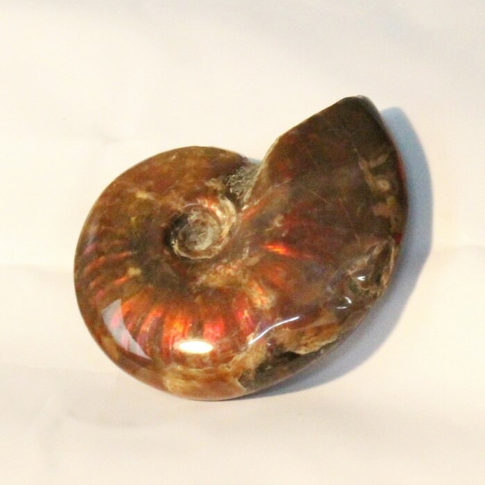 天然石 アンモライト アンモナイト 73g 6.5cmマダガスカル 鉱物標本 楽天市場】【マダガスカル産 厳選品質 一点物】アンモナイト 化石 にじ