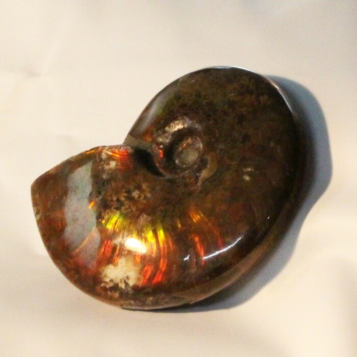 <br>【厳選品質マダガスカル産】アンモナイト 化石 虹 Ammonite アンモライト レインボー アンモナイト 原石 置物 鉱石 宝石 fossil 石 Stone 古生物 標本 アンモナイト化石 天然石 化石 パワーストーン 限定 一点物 アンモナイト
