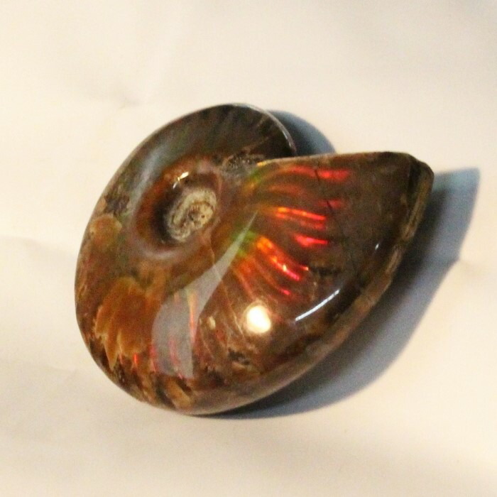 <br>【マダガスカル産最高品質】アンモナイト 化石 虹 レインボー Ammonite アンモライト アンモナイト 宝石 原石 置物 鉱石 生きた化石 fossil 石 古生物 標本 アンモナイト化石 海外直輸入価格 LuLu House（ルルハウス るるはうす） アンモナイト