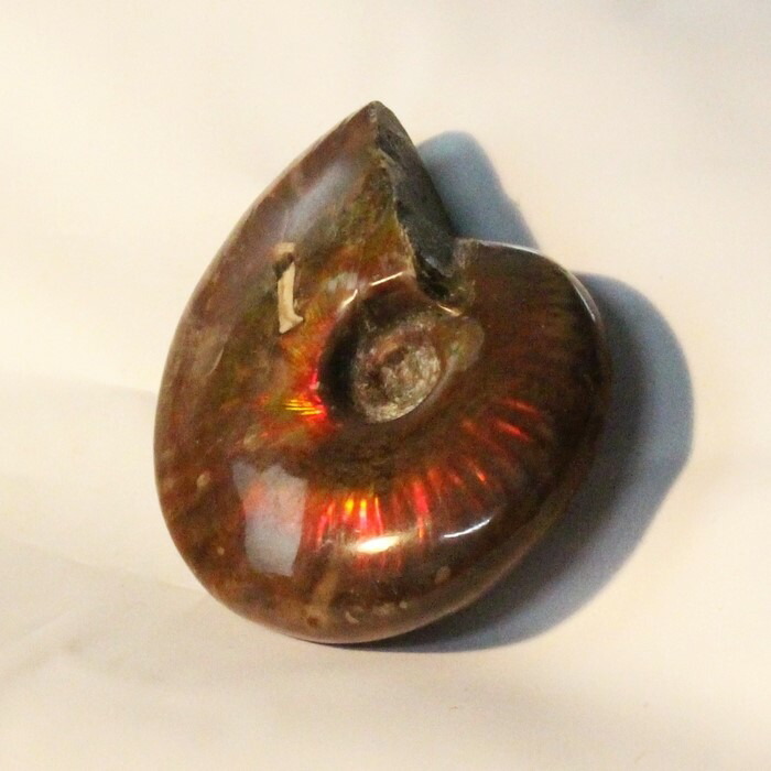 <br>【マダガスカル産一級品】アンモナイト 化石 虹 アンモナイト Ammonite レインボー アンモライト 原石 古生物 置物 鉱石 宝石 fossil 石 Stone 標本 アンモナイト化石 パワーストーン 化石 人気 おすすめ 天然石 海外直輸入価格 アンモナイト