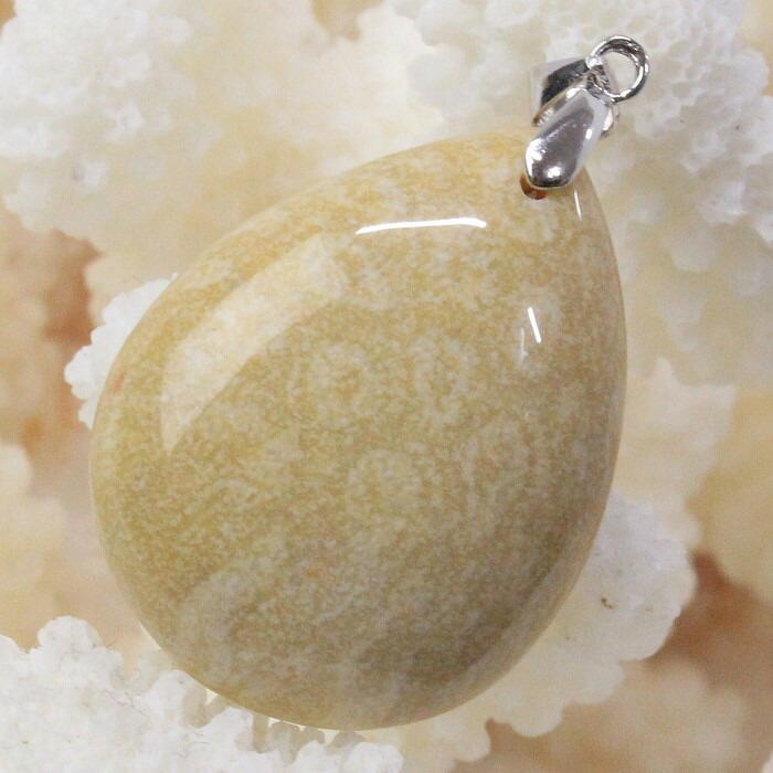 楽天市場】珊瑚 化石 ペンダント 化石 サンゴ 珊瑚 フォッシルコーラル