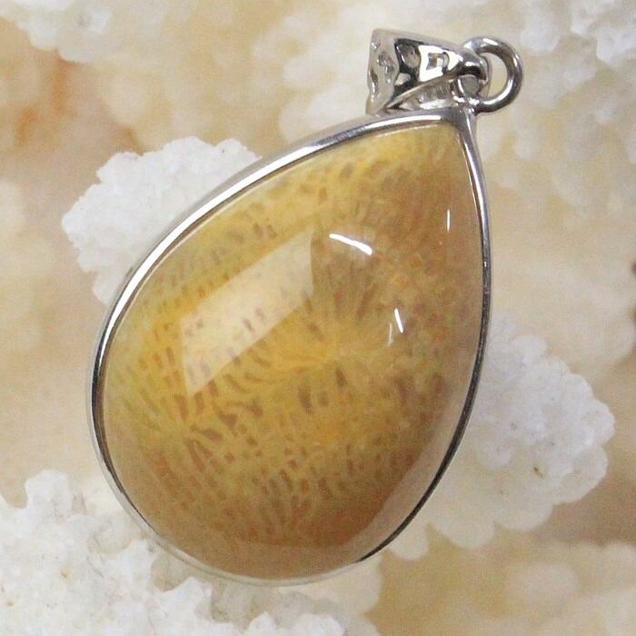 【レア 1点物】サンゴ 化石 ペンダント 化石 フォシルコーラル 珊瑚 サンゴ ペンダントトップ Necklace ネックレス サンゴ化石 ペンダント パワーストーン ペンダント 人気 おすすめ 天然石 海外直輸入価格 サンゴ