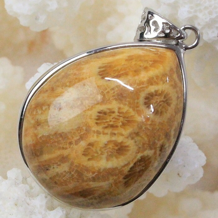 珊瑚 化石 ペンダント 化石 サンゴ コーラル フォシルコーラル 珊瑚 ネックレス ペンダントトップ Pendant 珊瑚化石 ペンダント 天然石 ネックレス パワーストーン 限定 一点物 珊瑚