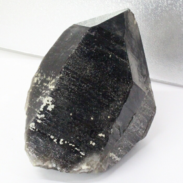 楽天市場】【大きい サイズ 品質に自信あり 一点物現物