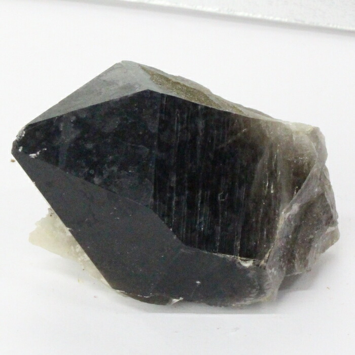 楽天市場】【ビックサイズ 大きい サイズ】モリオン クラスター