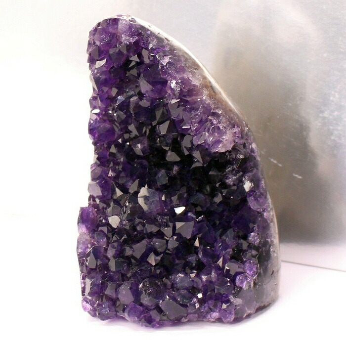 楽天市場】【ウルグアイ産 最高品質 厳選品質 大きい サイズ