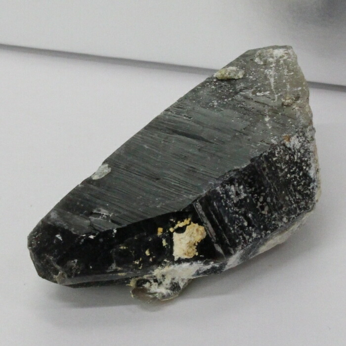 楽天市場】【ビックサイズ 大きい サイズ】モリオン クラスター