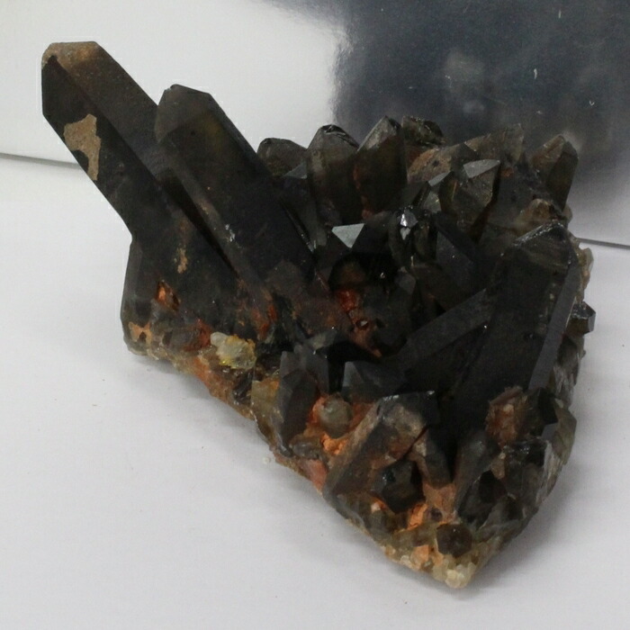 楽天市場】【ビックサイズ 大きい サイズ】モリオン クラスター