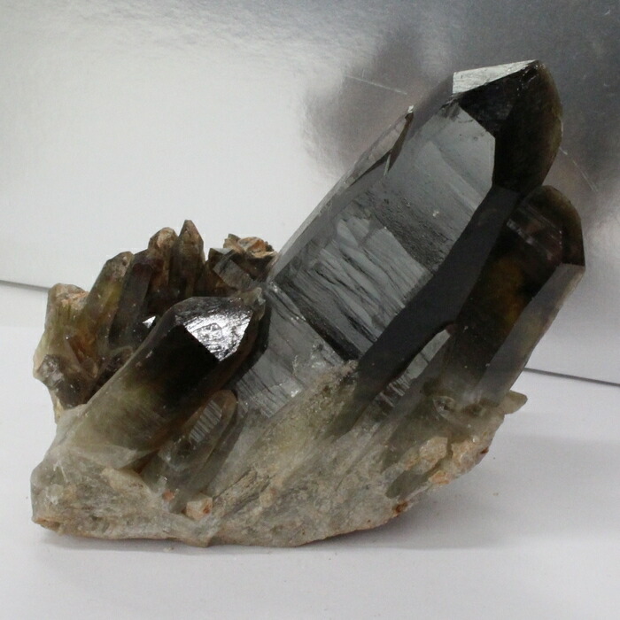 楽天市場】【ビックサイズ 大きい サイズ】モリオン クラスター