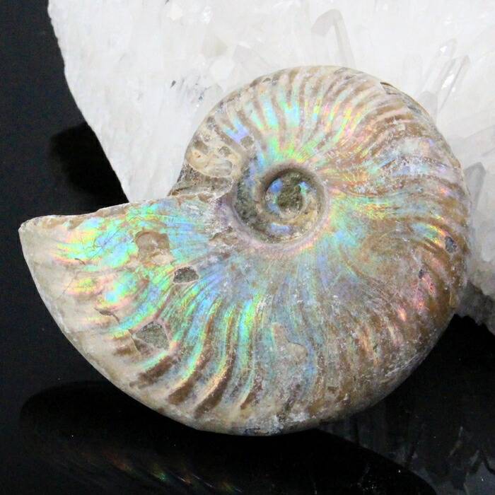 アンモライト化石　天然石　虹色　マダガスカル産　石標本　超大型 a46965-2_700.jpg