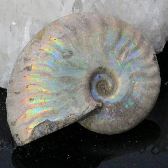 【高品質マダガスカル産 一点物】アンモナイト 化石 虹 レインボー Ammonite アンモライト アンモナイト 原石 鉱石 化石 宝石 fossil 古生物 標本 アンモナイト化石 パワーストーン 原石 天然石 メンズ レディース 人気 アンモナイト