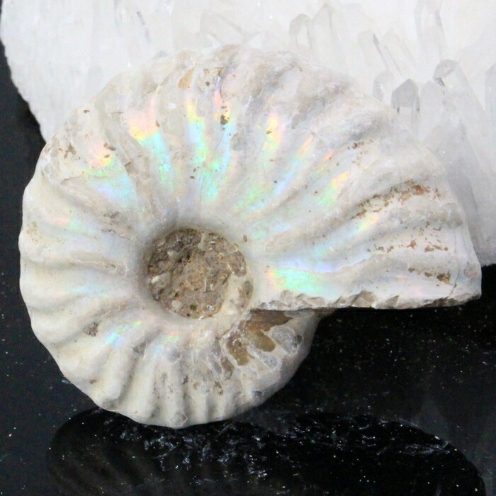【マダガスカル産 一級品 厳選一点物】アンモナイト 化石 虹 レインボー Ammonite アンモライト アンモナイト 原石 鉱石 化石 宝石 fossil 古生物 標本 アンモナイト化石 天然石 原石 人気 おすすめ パワーストーン 一点物 アンモナイト