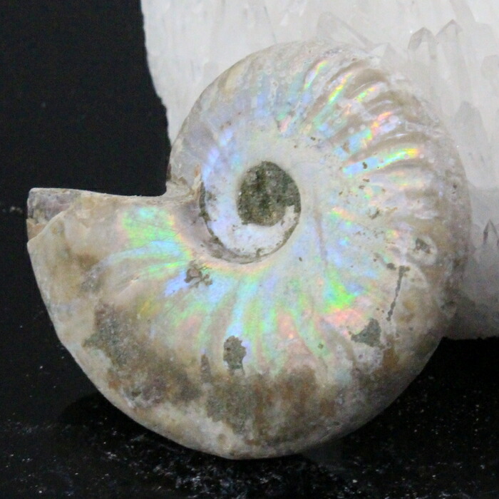 【マダガスカル産 一級品 厳選一点物】アンモナイト 化石 にじ Ammonite アンモライト レインボー アンモナイト 原石 古生物 化石 鉱石 宝石 fossil 標本 アンモナイト化石 パワーストーン 原石 天然石 メンズ レディース 人気 アンモナイト 6,607円