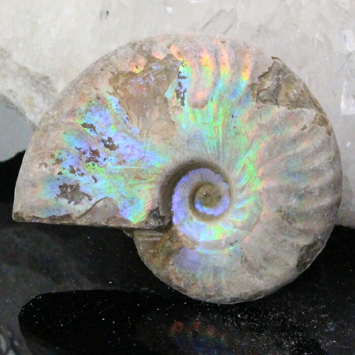 【マダガスカル産最高品質 一点物現物】アンモナイト 化石 にじ Ammonite アンモライト レインボー アンモナイト 原石 古生物 化石 鉱石 宝石 fossil 標本 アンモナイト化石 パワーストーン 原石 人気 おすすめ 天然石 海外直輸入価格 アンモナイト