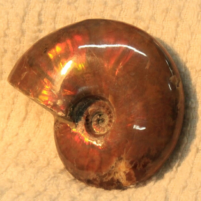 【高品質マダガスカル産 一点物】アンモナイト 化石 虹 アンモナイト Ammonite レインボー アンモライト 原石 古生物 化石 鉱石 宝石 fossil 標本 アンモナイト化石 メンズ レディース 天然石 限定 一点物 アンモナイト