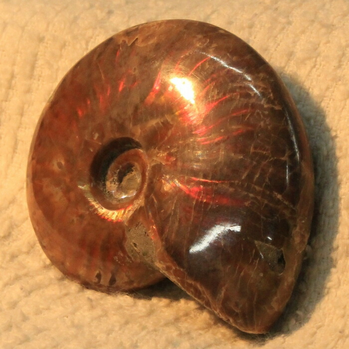 【高品質マダガスカル産 一点物】アンモナイト 化石 虹 アンモナイト Ammonite レインボー アンモライト 宝石 原石 化石 鉱石 古生物 標本 生きた化石 fossil アンモナイト化石 パワーストーン 原石 天然石 メンズ レディース 人気 アンモナイト