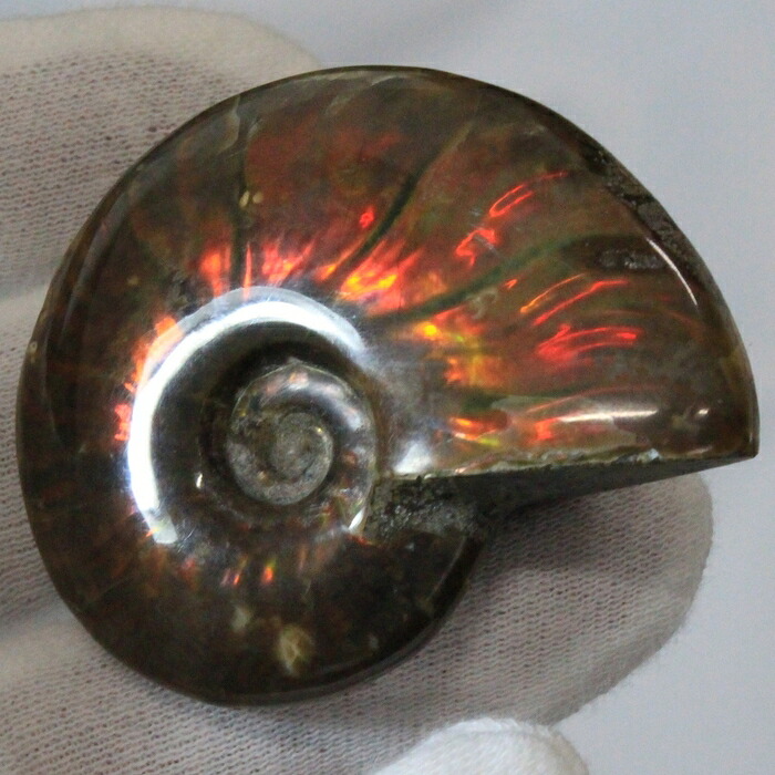 【マダガスカル産最高品質 一点物現物】アンモナイト 化石 虹 レインボー Ammonite アンモライト アンモナイト 原石 鉱石 化石 宝石 fossil 古生物 標本 アンモナイト化石 メンズ レディース 人気 おすすめ 限定 天然石 アンモナイト