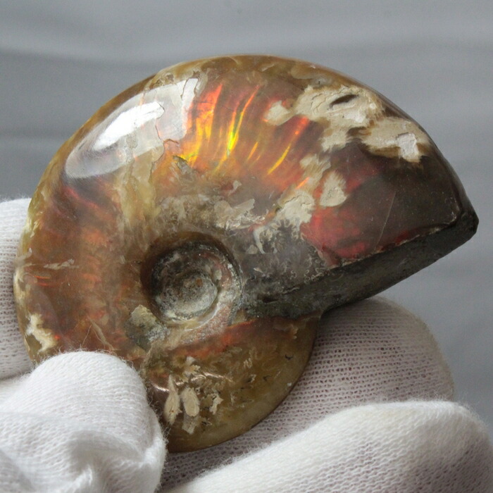 【高品質マダガスカル産 一点物】アンモナイト 化石 虹 レインボー Ammonite アンモライト アンモナイト 原石 古生物 化石 鉱石 宝石 fossil 標本 アンモナイト化石 パワーストーン 原石 天然石 メンズ レディース 人気 アンモナイト