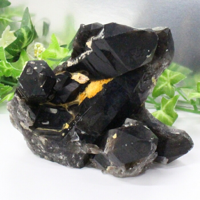 【透明感抜群 一点物】モリオン 原石 黒水晶 モリオン 原石 魔除け 邪気払い 厄除け クラスター 置物 モリオン原石 メンズ レディース 限定 一点物 パワーストーン モリオン｜パワーストーン 天然石 LuLu House