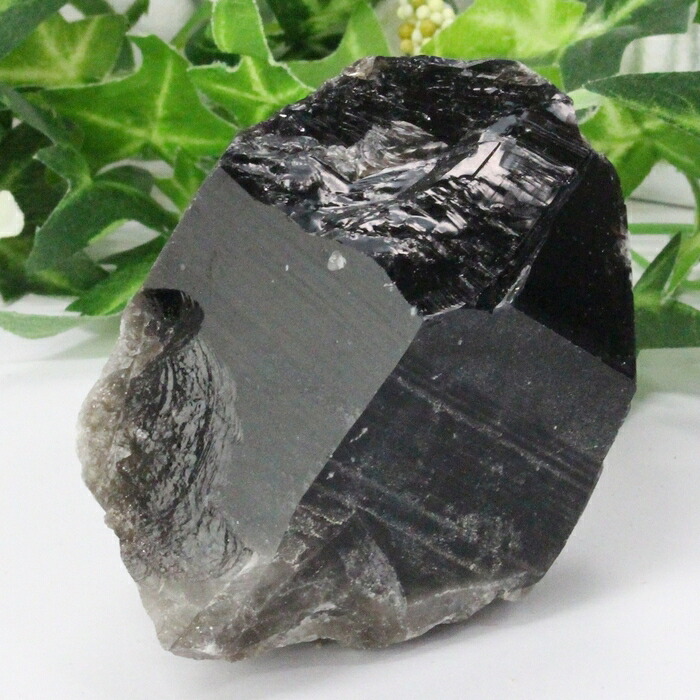 【透明感抜群 一点物】モリオン 原石 モリオン Morion 黒水晶 原石 魔除け 邪気払い 厄除け クラスター 置物 原石 石 インテリア 浄化 モリオン原石 メンズ レディース 一点物 パワーストーン モリオン