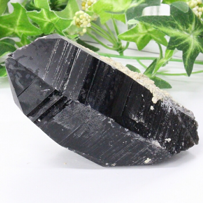 楽天市場】【ビックサイズ 大きい サイズ】モリオン クラスター