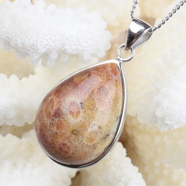 <br>フォシルコーラル ペンダント｜珊瑚 fossil Coral サンゴ コーラル さんご 化石 フォシル ネックレス シルバー ペンダント ネックレス Pendant 首飾り チャーム Silver Necklace｜メンズ レディース 限定 一点物 フォッシルコーラル【ポイント割引商品】