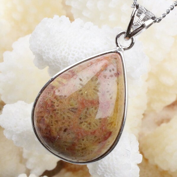 <br>フォシルコーラル ペンダント｜Coral fossil さんご 化石 珊瑚 サンゴ コーラル フォシル ネックレス Charm ペンダント ネックレス シルバー Pendant 首飾り チャーム Silver Necklace｜メンズ Men's レディース Ladies 天然石 海外直輸入価格 フォッシルコーラル