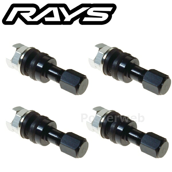 RAYS No.21 INSIDE ALUMINUM AIR VALVE BK エアバルブ 4個セット 65050000035BK [メール便]