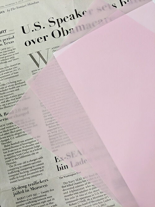 桃ページ MJ-KYOZAKURA II WSE'24/E | Deviser ｜株式会社ディバイザー