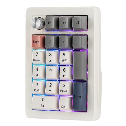 EPOMAKER EK21 VIA 屁っ放り毛布 テンキー ゲーミングキーボード ワイヤレスメカニカルテンキー 1000mAh蓄電池積み上げる Bluetooth 5.0/2.4GHz/有線 熱っぽい切りかえる相応う 電話番号パッド 軽銀アロイ製ノッブ 放送番組能力のある Windows/Mac/取り組み相応う (Retro White, Wisteria V