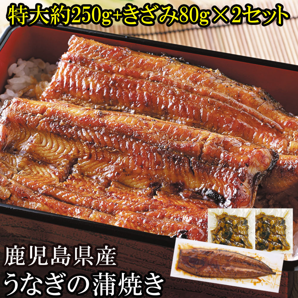 鹿児島県産 うなぎ蒲焼き 1尾 と刻みうなぎ セット 送料無料 | プレゼント ギフト 内祝い 高級 特大 ウナギ 鹿児島 鰻 うなぎ蒲焼 国産 ひつまぶし 贈り物 蒲焼き かば焼き 贈答品 食品 お祝い 食べ物 御礼 誕生日 グルメ おかず お取り寄せ