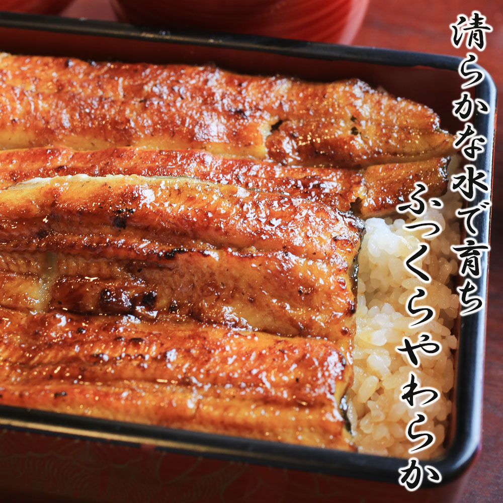鹿児島県産出 ウナギ蒲焼き 2尾 と切れ込みうなぎの仕かける 送料無料 御持たせ 戴物 復讎 内祝い 秀抜 食べ物 旧里直送 食材 お取り寄せエピキュリアン 特大 ウナギ 鹿児島 ウナギ 附与 うなぎ蒲焼 国産 お中元 きざみ 刻み 海鮮 九州 鰻の蒲焼 国産鰻 国産うなぎ蒲焼