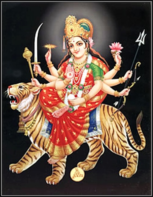 楽天市場 インドの神様 ドゥルガー神お守りカード 1枚 010 India God Durga Small Card Charm 戦い 破壊 殺戮 討伐 戦争 勝利 正義 新生 インド風水アイテムのprana
