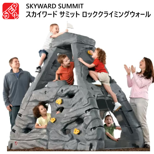 非売品 サミットstep2 スカイワード 納期10日前後 2108ステップ2 Skyward 屋外使用 Smtb Ms クリスマス 誕生日 4歳から8歳プレゼント 大型遊具運動能力 ジャングルジム Summitロッククライミングウォール 大型遊具 Tech Builders