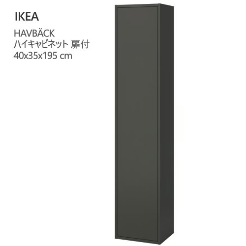 ＊202604HAVB・・CK ハーヴベック ご機嫌押し入れ 扉付 暗然たる薄墨色 40x35x195 珊大静電容量納める 洗面所 壁据え置き型IKEA イケア今めかしい 新やって行く納める 納める調度品505.351.89