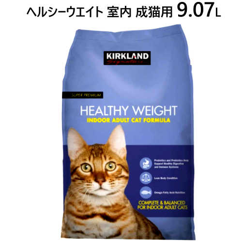 楽天市場 送料無料 Costco コストコ Kirkland カークランド キャットフード ドライ 11 34kg Catmaintenance Cat チキン ライス 子猫 成猫 老猫 キャラメルカフェ