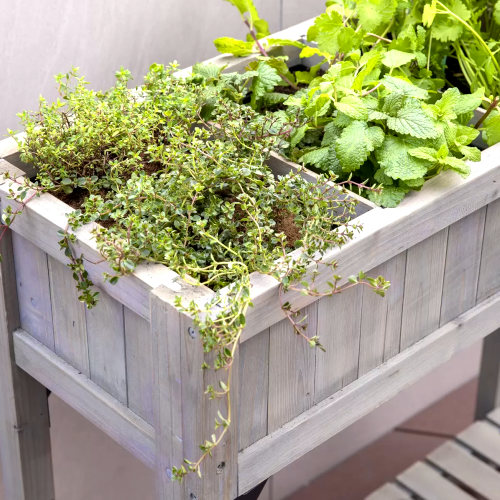 割引も実施中 24ベジトラグ ハーブ プランター ウッド 2色家庭菜園 プランターveg Trug Herb Planter 木製プランター 高床式大型 レイズドベットプランター幅78 奥行58 高さ80cm 組立品屋上菜園 ベランダ菜園 Tartascristina Com