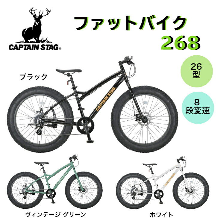 楽天市場】【CAPTAIN STAG】 キャプテンスタッグ ミニベロロードバイク CSR20MR-451DSK (YG-1129) 20インチ 自転車  軽量 超軽量 タイヤ ハンドル サドル ペダル ライト ブレーキ 変速 変速レバー ギア ホイール メンズ レディース : プレシャスエターナル