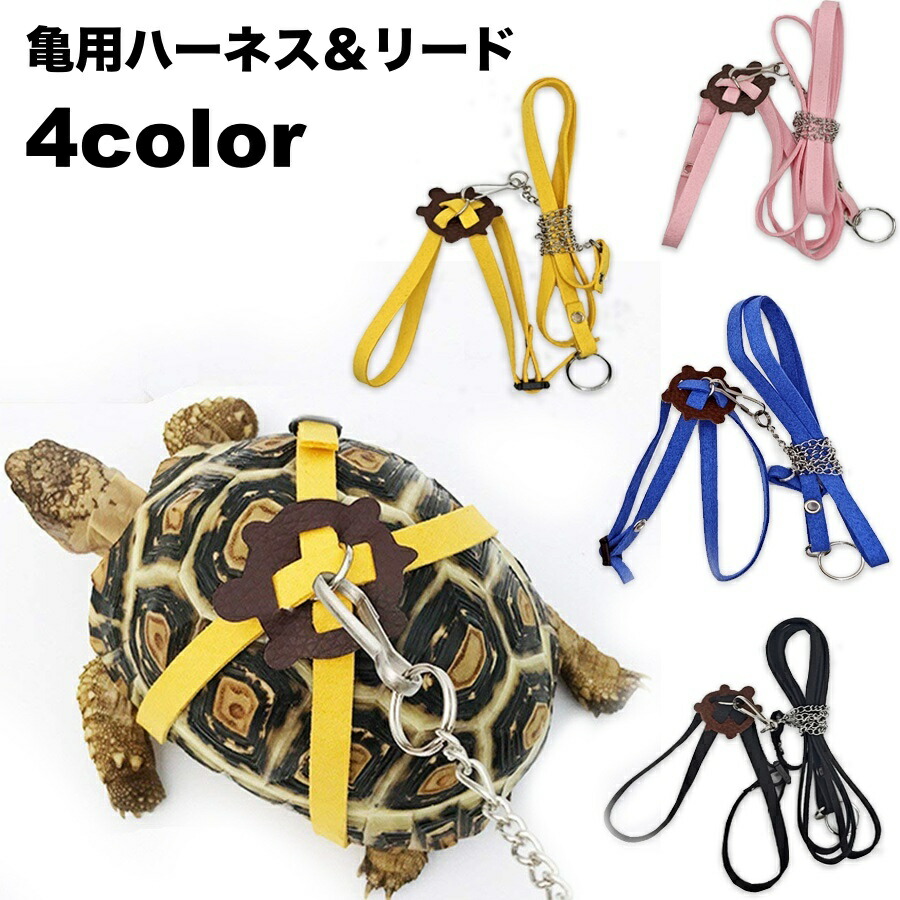 【亀 】ページ　　リクエスト商品のため 楽天市場】送料無料 亀用ハーネス リード 2点セット ペット用品