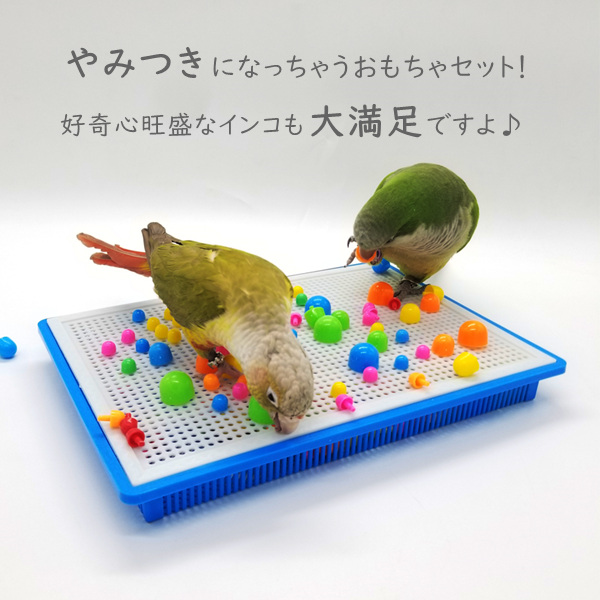 ブランドのギフト Pセット止まり木 おまとめセット 鳥用品 バードトイ