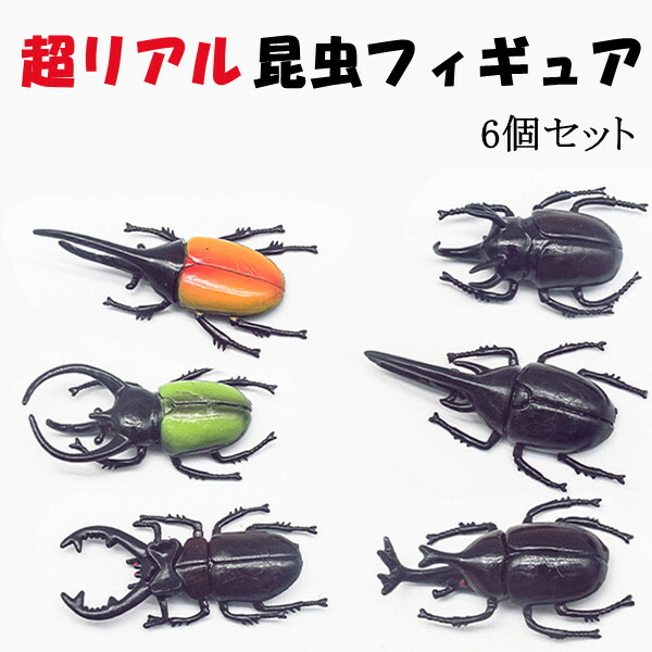 楽天市場】カブトムシ クワガタ 昆虫 セット 甲虫 ミニー リアル