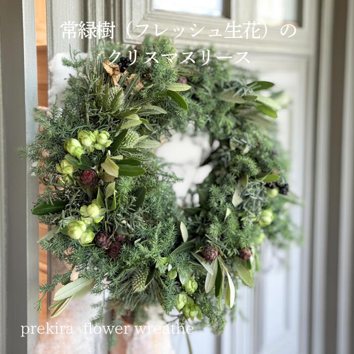 楽天市場】フレッシュクリスマスリース 【Luxe】 30cm コニファー